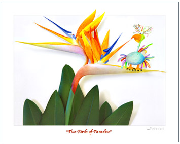 Two Birds of Paradise